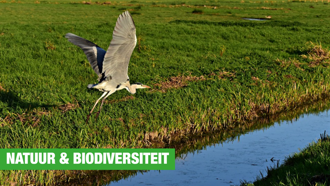 foto-groenlinks (21).png