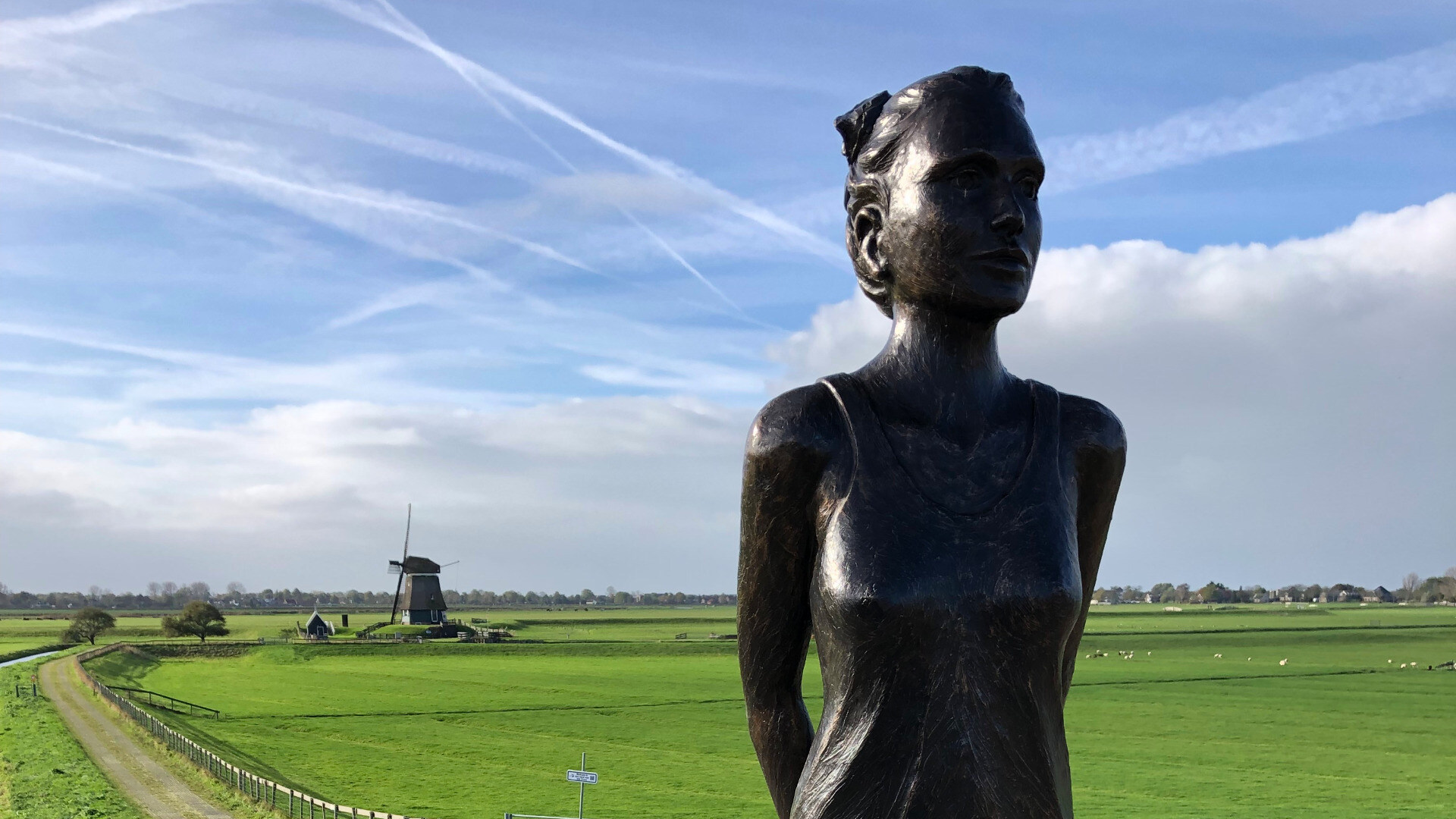 veenus beeld