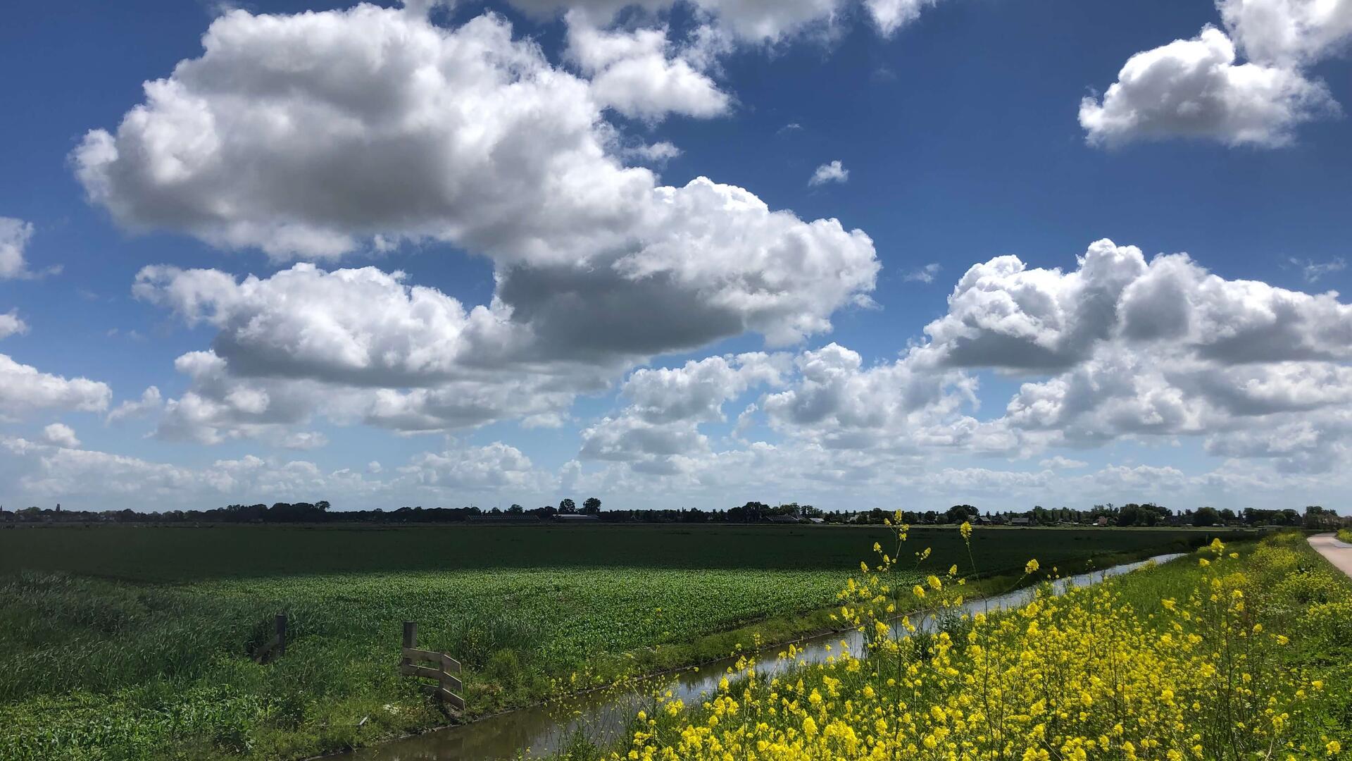landschap