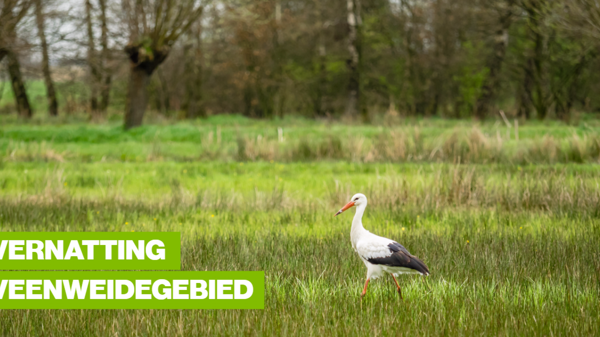 foto-groenlinks (22).png